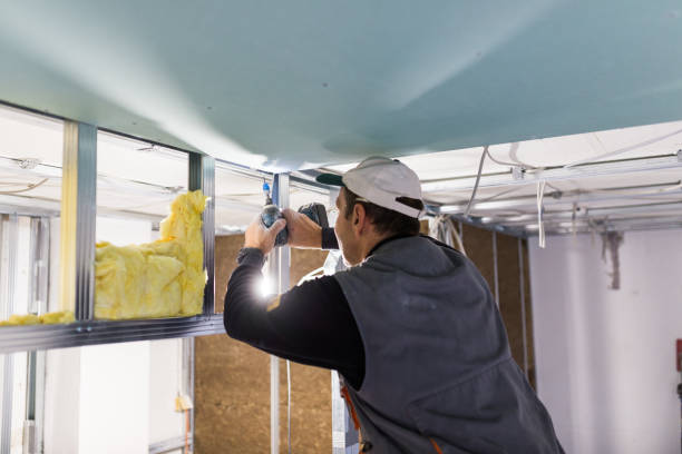 Best Energy Efficiency Insulation in Samsula Spruce Creek, FL