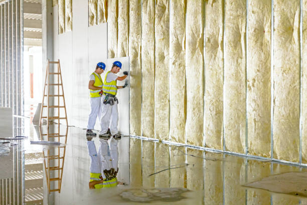 Best Specialized Insulation Services in Samsula Spruce Creek, FL